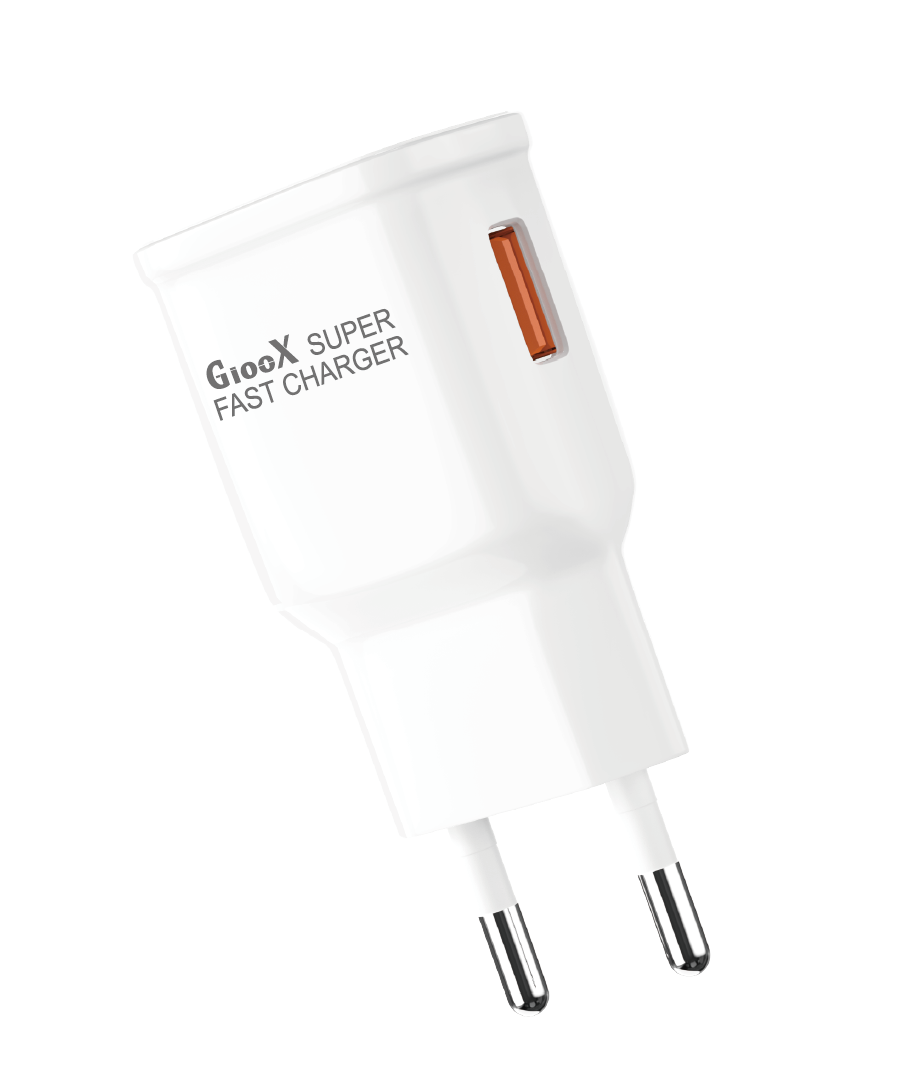 GIOOX  GX-15W MICRO CHARGER