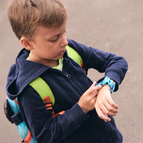 Wholesale Gadgets promo