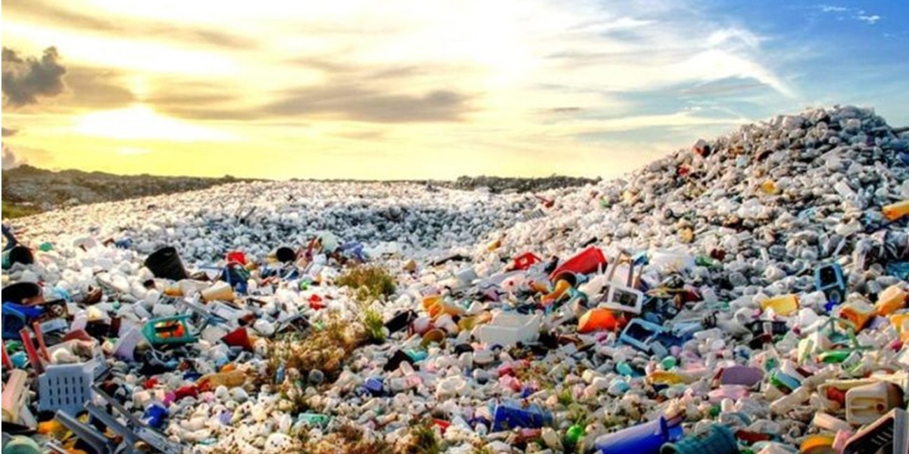 প্লাস্টিক দূষণ কমাতে অনার বাংলাদেশ নিয়ে এলো বায়োডিগ্রেডেবল ব্যাগ।